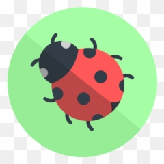 Bug Report U2013 Apps - Parasitism png