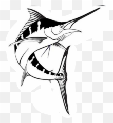 Drawing Billfish Marlin Fishing - Marlin Fish Drawing Png,Marlin Png
