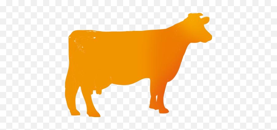 Cow Transparent Png Images - Animal Figure,Cow Face Icon