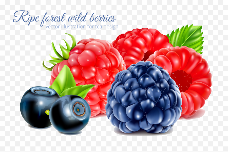 Frutti Di Bosco Raspberry Fruit Png Blackberry