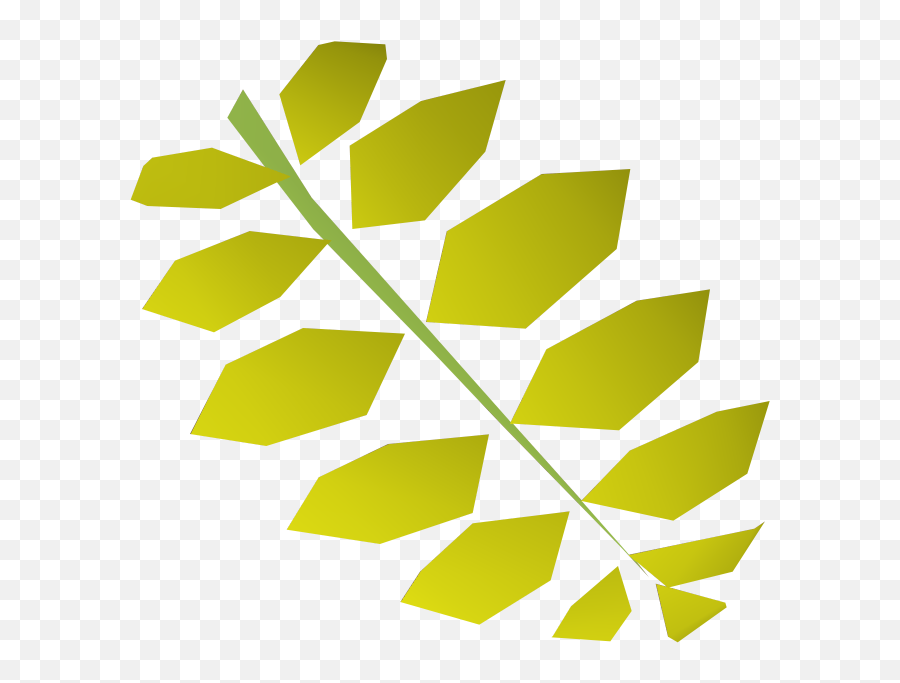 Curry Leaf Runescape Wiki Fandom - Curry Tree Png,Leaf Png