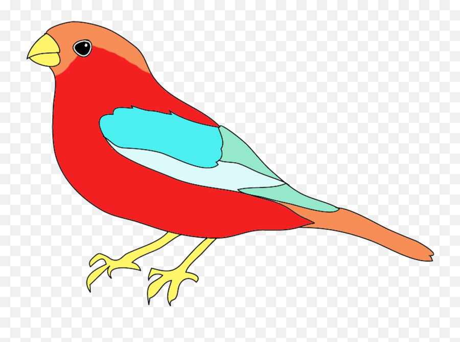 Colorful Drawings Of Birds - Draw And Colour A Bird Png,Red Bird Png