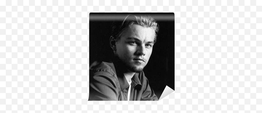 Leonardo Dicaprio Wall Mural Pixers - Leonardo Dicaprio Png,Leonardo Dicaprio Png