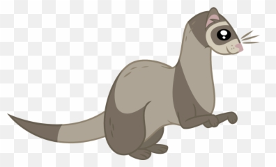 Ferret Vector Animal Transparent Png - Ferret,Ferret Png