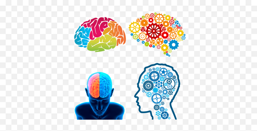 Brain Transparent Png Images - Automaticity In Reading,Brain Transparent Image
