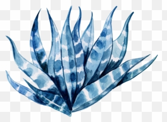 Free Png Watercolor Floral - Konfest Agave Azul,Aloe Png