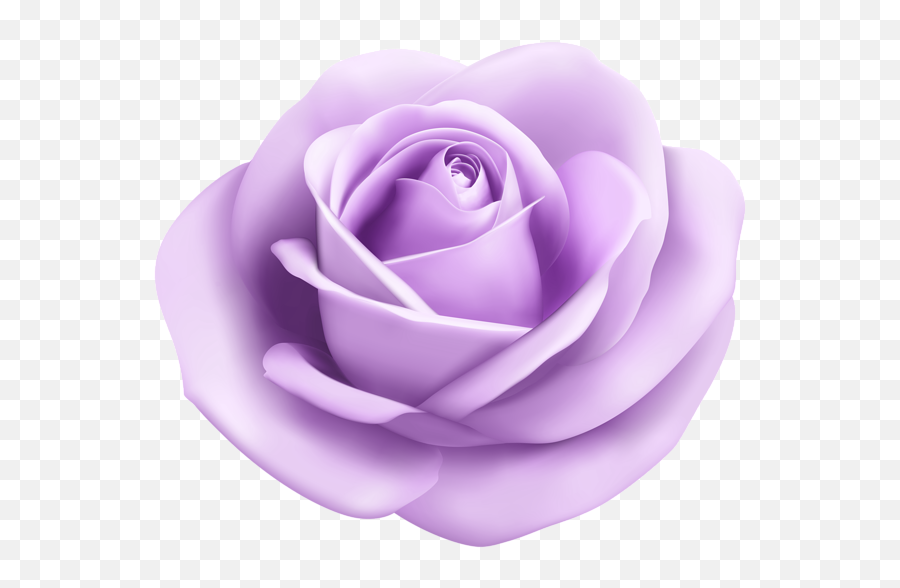 Download Purple Purpleflower Purplerose - Light Blue Rose Png,Purple Rose Png