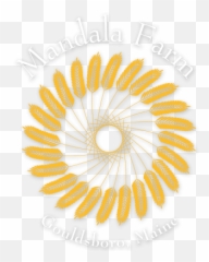 Mandala Farm U2013 Organic Farming In Costal Maine - Stencil Sun Png,Mandala Logo