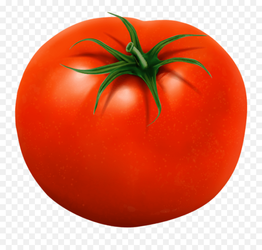 Tomato Transparent Png Images - Tomato And Onion Clipart,Tomato Transparent Background
