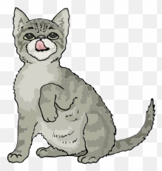 Grey Kitten Clipart Free Download Transparent Png Creazilla - Kitten Cipart