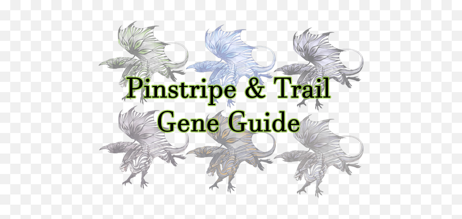 Pinstripe Trail Gene Guide - Flight Rising All Colors Pinstripe Png,Pinstripe Png