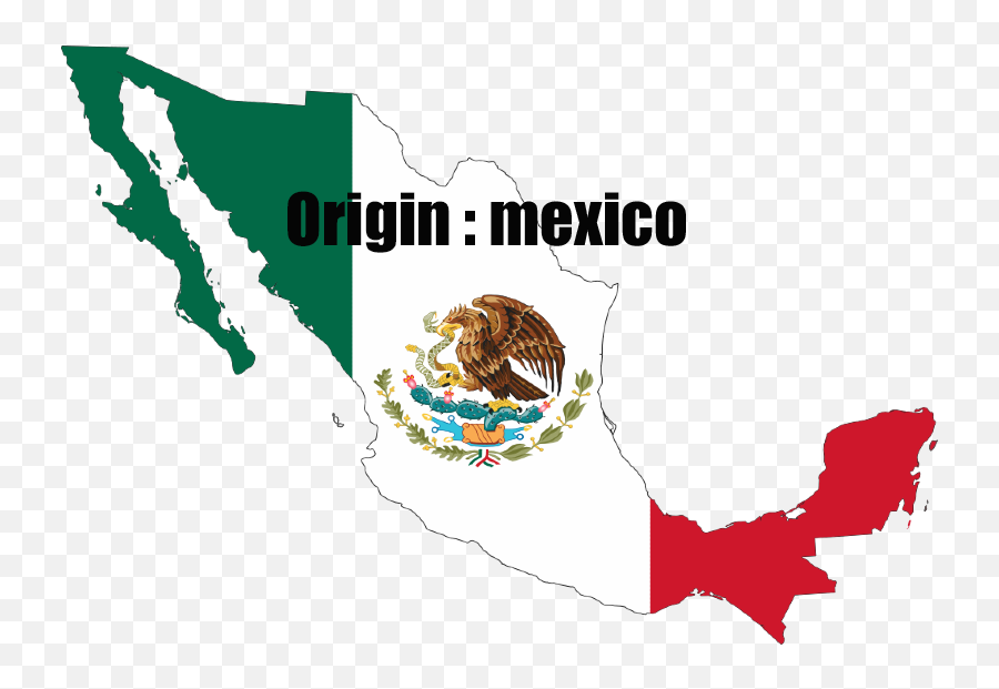 Psaoil - Bandera De Mexico Png,Pemex Logo