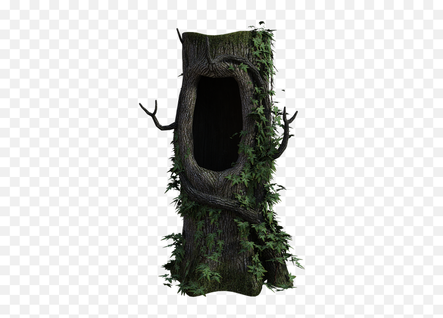 Tree Stump Hollow - Free Image On Pixabay Arbol Con Hueco Png,Stump Png