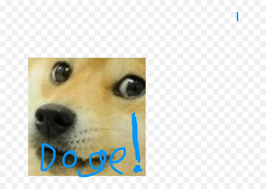 Close Up Of Doge Transparent Png Image - Guess You Ll Never Know Meme,Doge Transparent