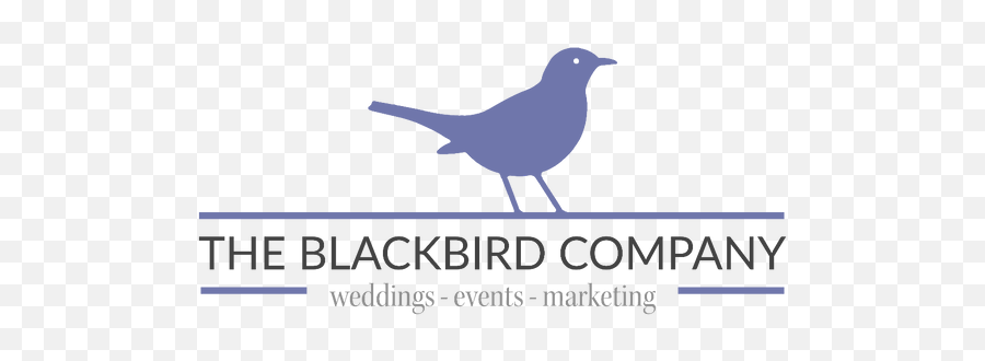 Home The Blackbird Co - Silhouette Vogel Png,Black Bird Png