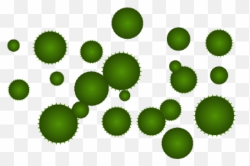 Hd Svg Freeuse Stock Algae Clipart - Microalgae Clipart Png,Algae Png