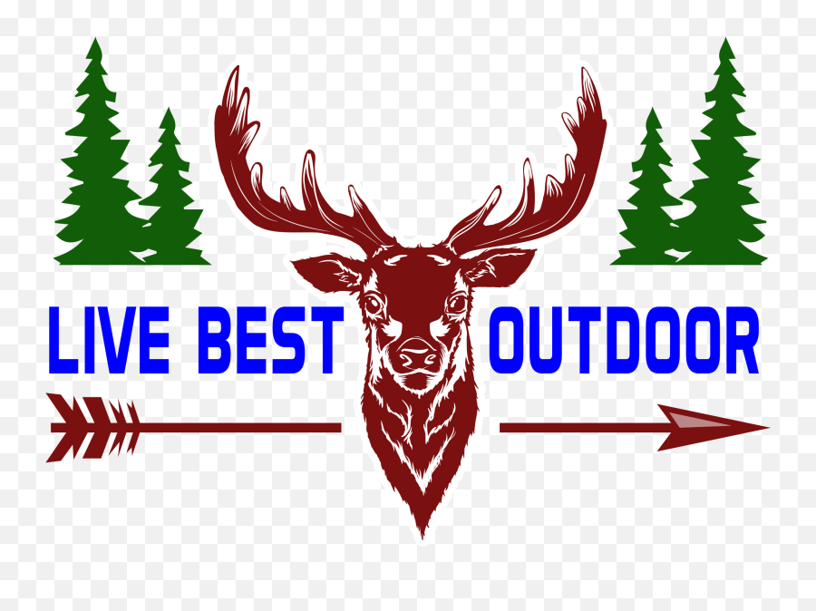 Live Best Outdoor Store Camping U0026 Pet Products - Ciervo Vector Png,Bowtech Carbon Icon Price