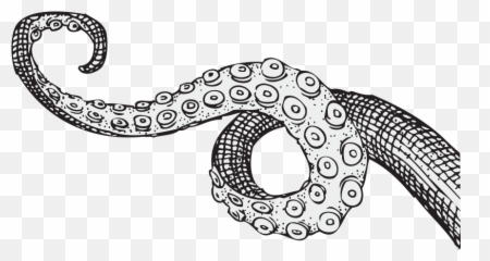 Download Tentacle - Drawing png