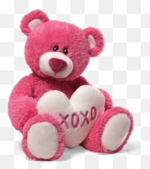 Teddy Bear Png Hd Transparent 456771 - Png Teddy Bear Images Png,Grizzly Bear Png