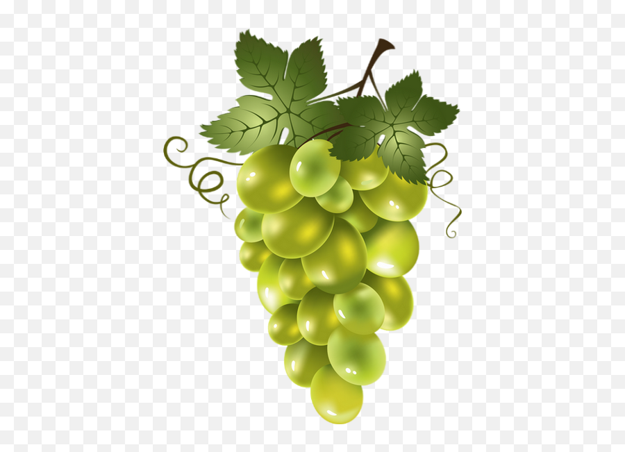 Raisin Blanc Png 3 Image - Green Grapes Clipart,Raisin Png