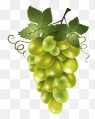 Raisin Blanc Png 3 Image - Green Grapes Clipart,Raisin Png