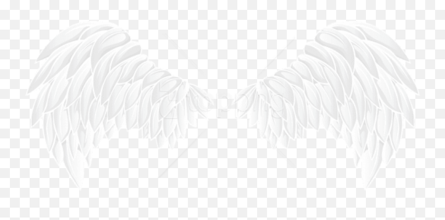 Download Free Png White Wings Images Transparent - White Clipart White Wings Png,Black Wings Png