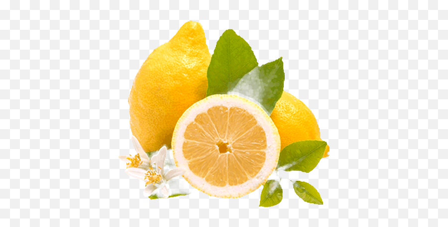 Limones Png - Rangpur,Limon Png