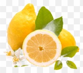 Limones Png - Rangpur,Limon Png