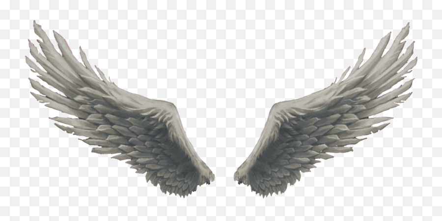 Wing Clipart Picsart Picture 2197285 - Angel Wings Png,Black Angel Wings Png