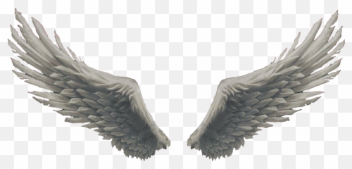 Free Transparent Angel Wings Png Images Page 3 Pngaaa Com - angel wings roblox name