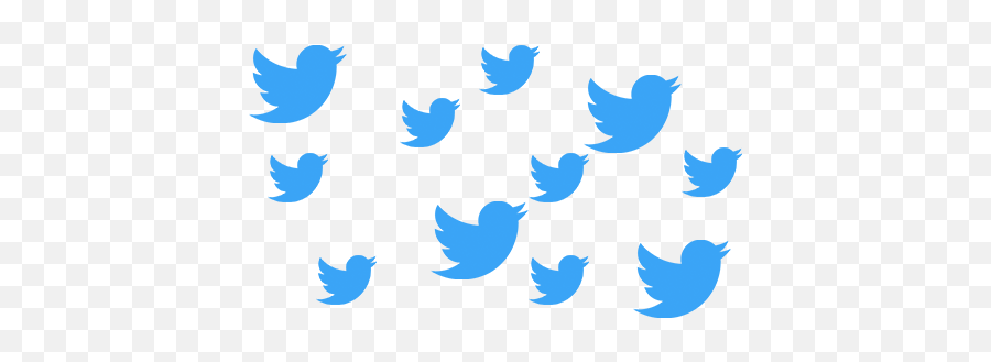 Multiple Twitter Accounts - Twitter Birds Transparent Png,Twitter Bird Transparent