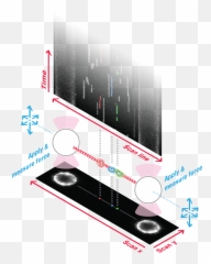 Working Principleillustrationc - Trap Lumicks Vertical Png,Trap Png