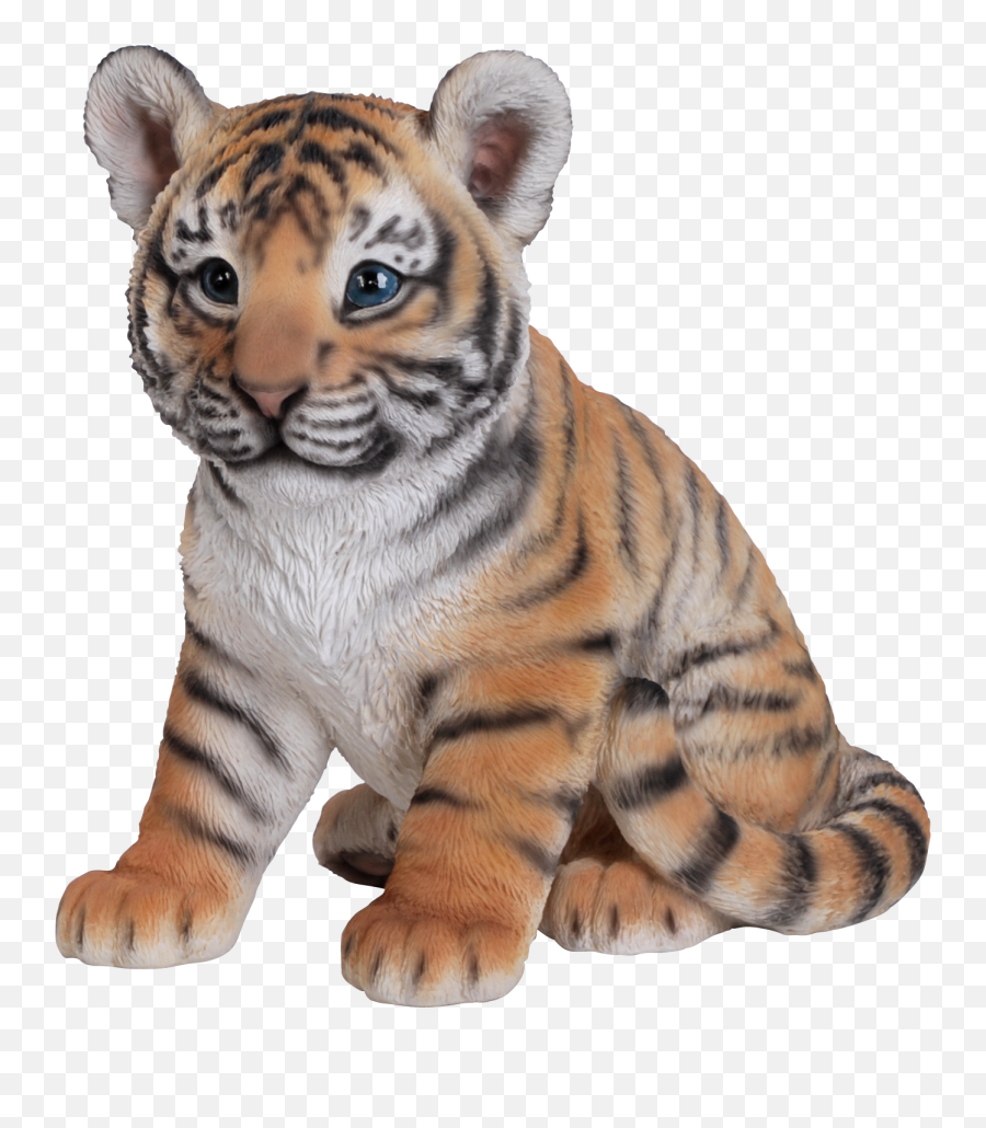 Tiger - Baby Tiger Png,White Tiger Png