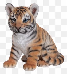 Tiger - Baby Tiger Png,White Tiger Png