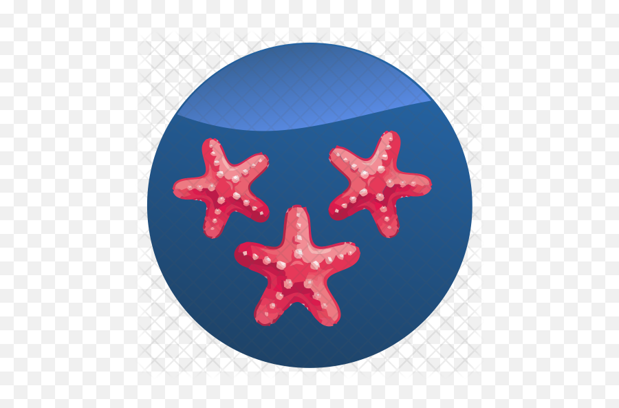 Starfish Icon - Starfish Png,Blue Starfish Logo