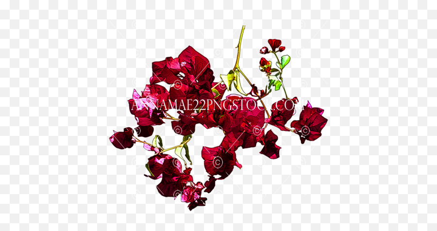 Red Flowers Png Stock Photo 0531 Transparent Background Image - Floral,Purple Flower Png