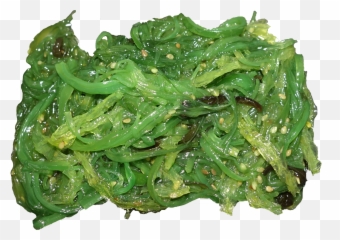 Seaweed Salad - Ogonori Png,Kelp Png