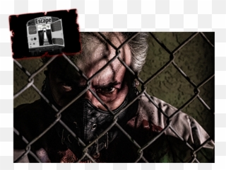 Busch Gardensu0027 Howl - Oscream Announces Scare Zones Orlando Tampa Bay Png,Busch Gardens Logo