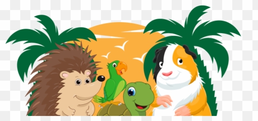 Guinea Pigs - Happy Rock Pets Png,Guinea Pig Png