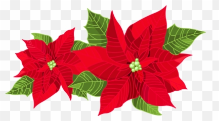 Free Mistletoe Clipart Transparent Download Clip Art - Clip Art Border Poinsettia Png,Mistletoe Transparent