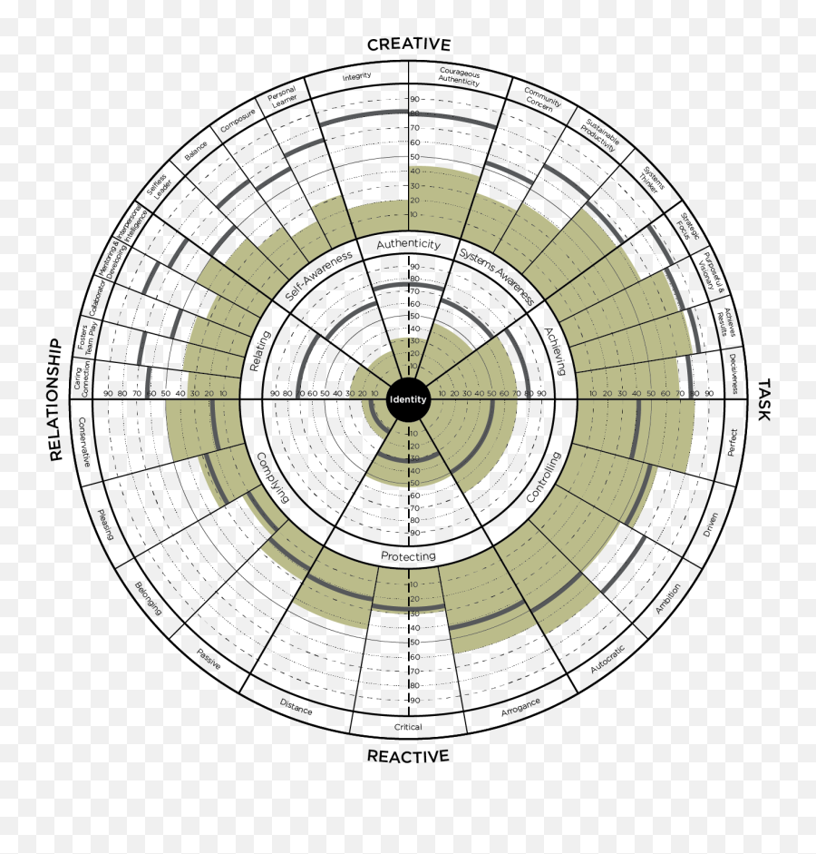 Leadership Circle 360 Profile With Line Of Sight Coaching - Leadership Circle Profile Png,Circle With Line Through It Transparent