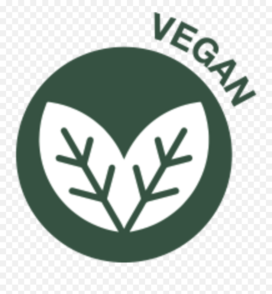 Campus - Vegan Dining Hall Symbol Png,Texas Woman's University Logo