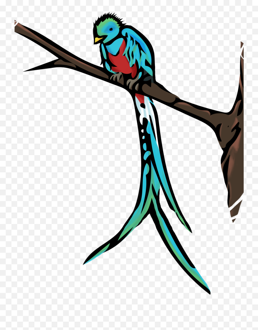 Download Quetzal - Quetzal Birds Easy Drawing Png,Quetzal Png