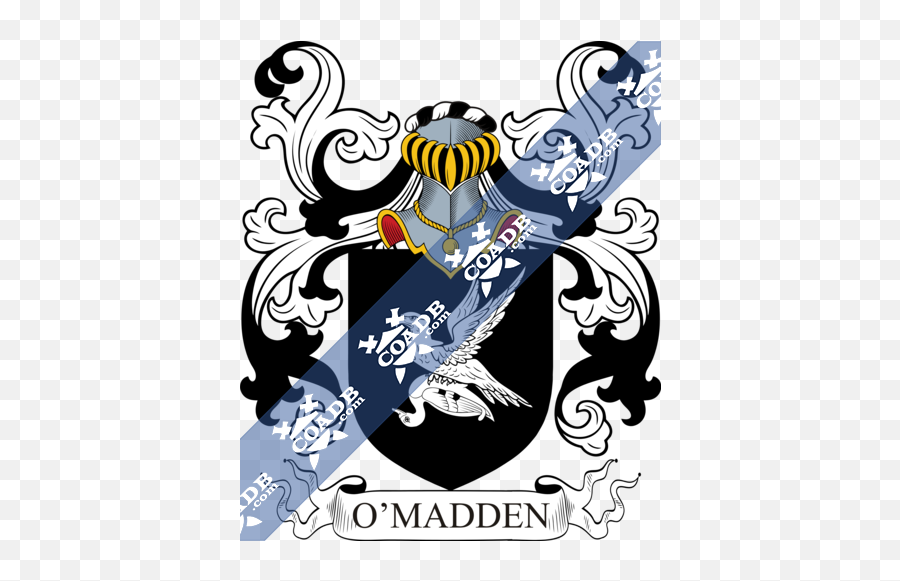 Madden Family Crest Coat Of Arms And Name History - Langham Coat Of Arms Png,Madden Logo Png