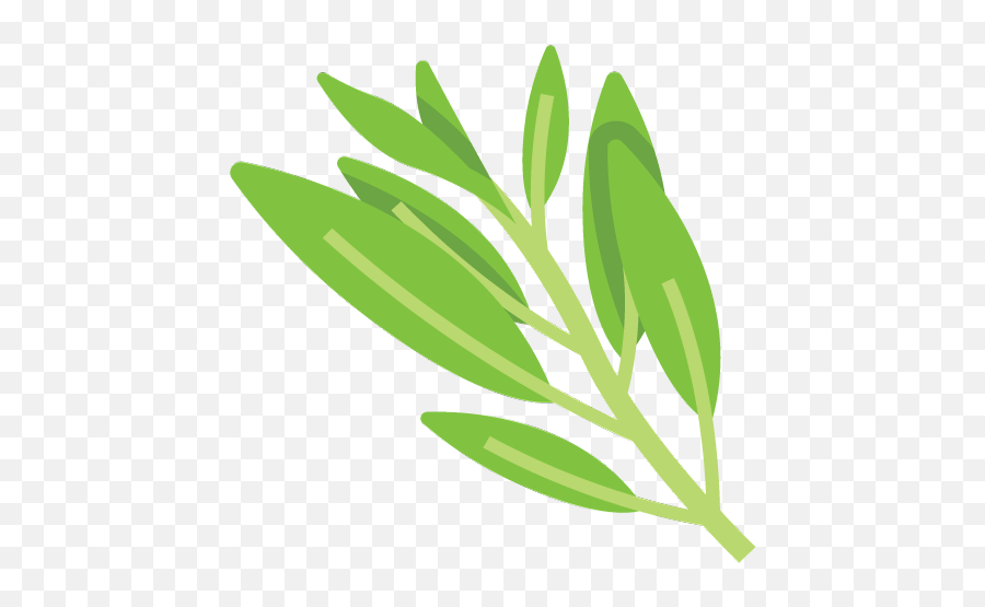 1 Bed Bath - Fines Herbes Png,Pictures Of Sage Icon