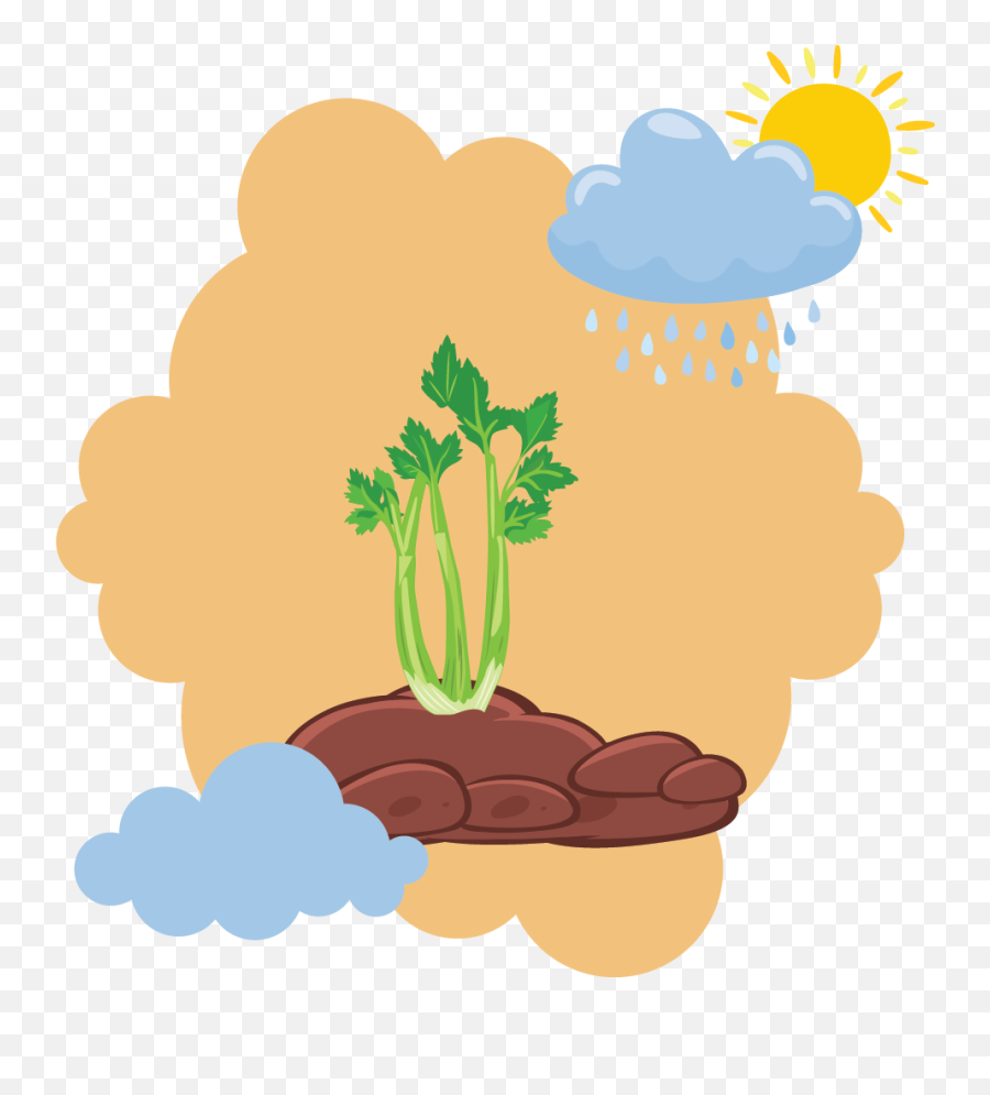 Spring Plant Pot Cloud Flat Icon - Language Png,Corel Photo Paint Icon