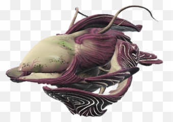 No Manu0027s Seeds - Mans Sky Bio Ship png
