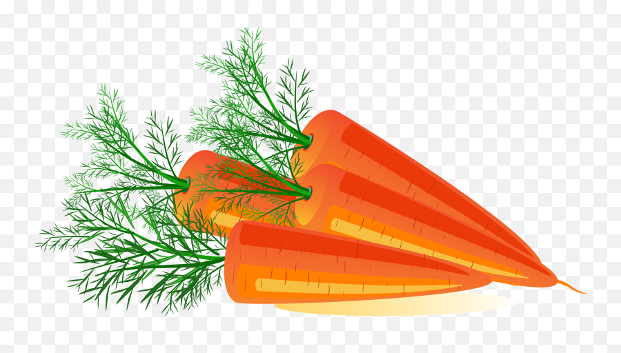 Carrot Png Image - Carrots Clipart Png,Carrot Transparent Background