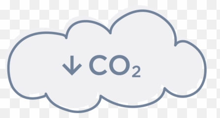Cmia Carbon Neutral Initiative Cotton Made In Africa - Dot Png,Visio People Icon
