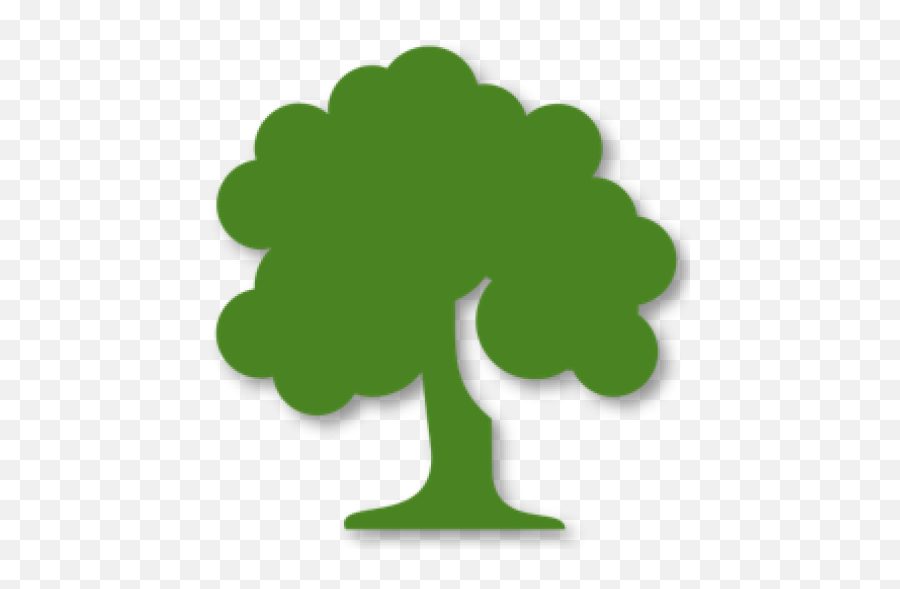 Terms Of Service Dplandgroup - Transparent Tree Icon Png,File Tree Icon